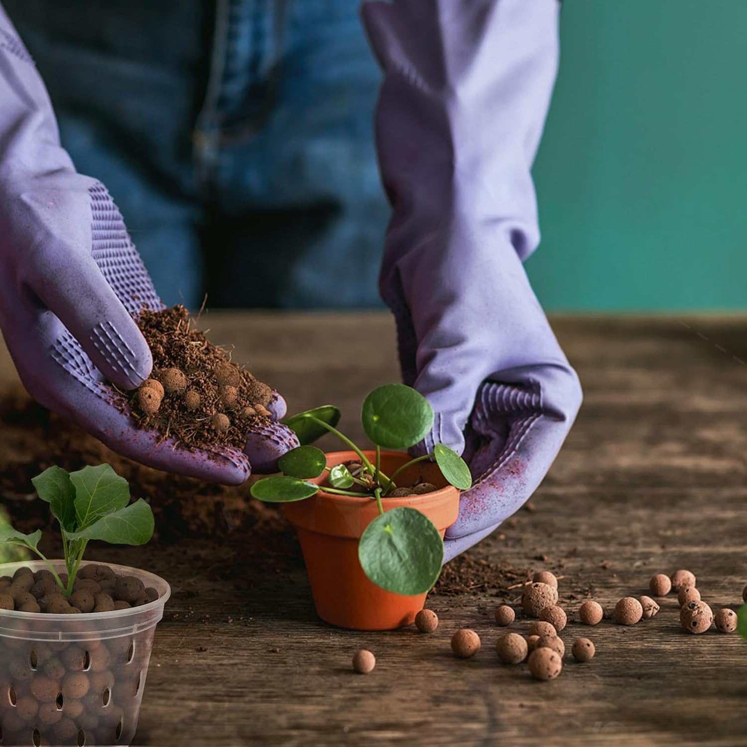 2L/1L Organik Kil Topları, Çiç - Clay Pebble Growing incelemesi ve fiyatı