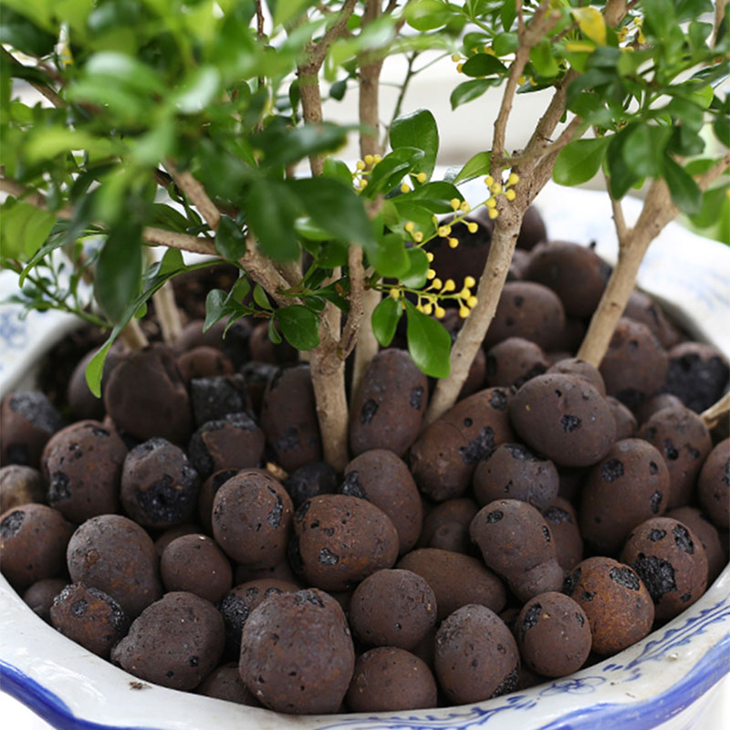500g organik açık ceramsite ki - Clay Pebble Growing incelemesi ve fiyatı